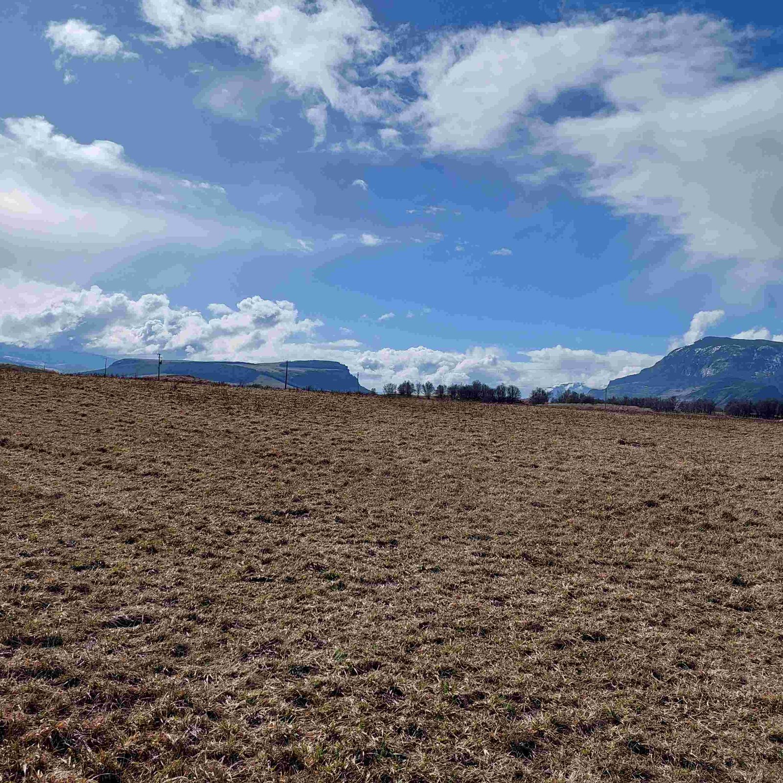 Land Parcel property photo in Balmaceda