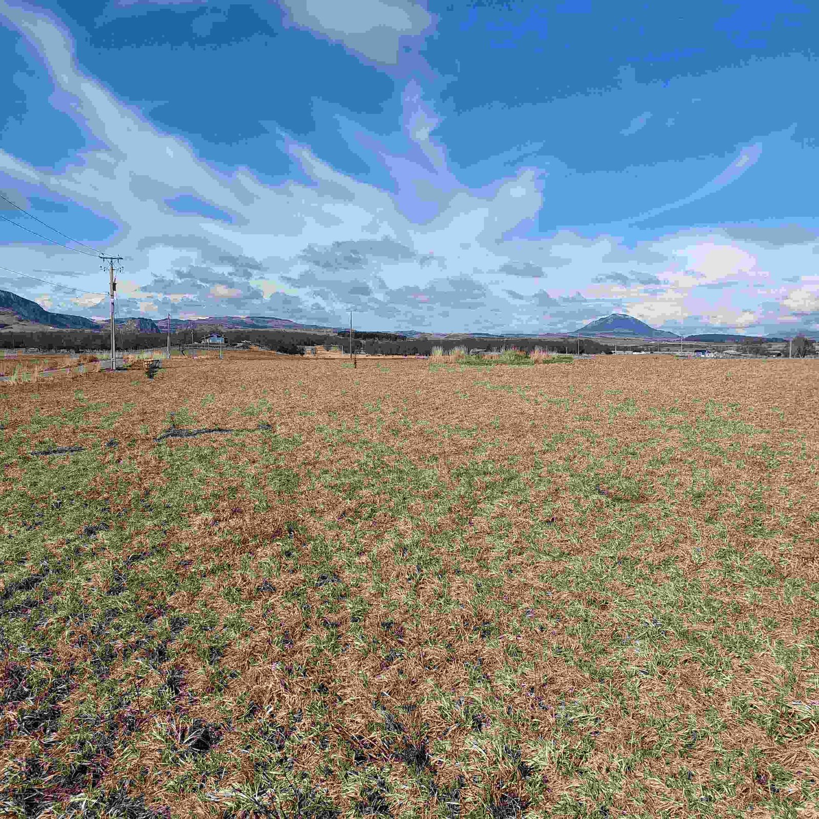 Land Parcel property photo in Balmaceda