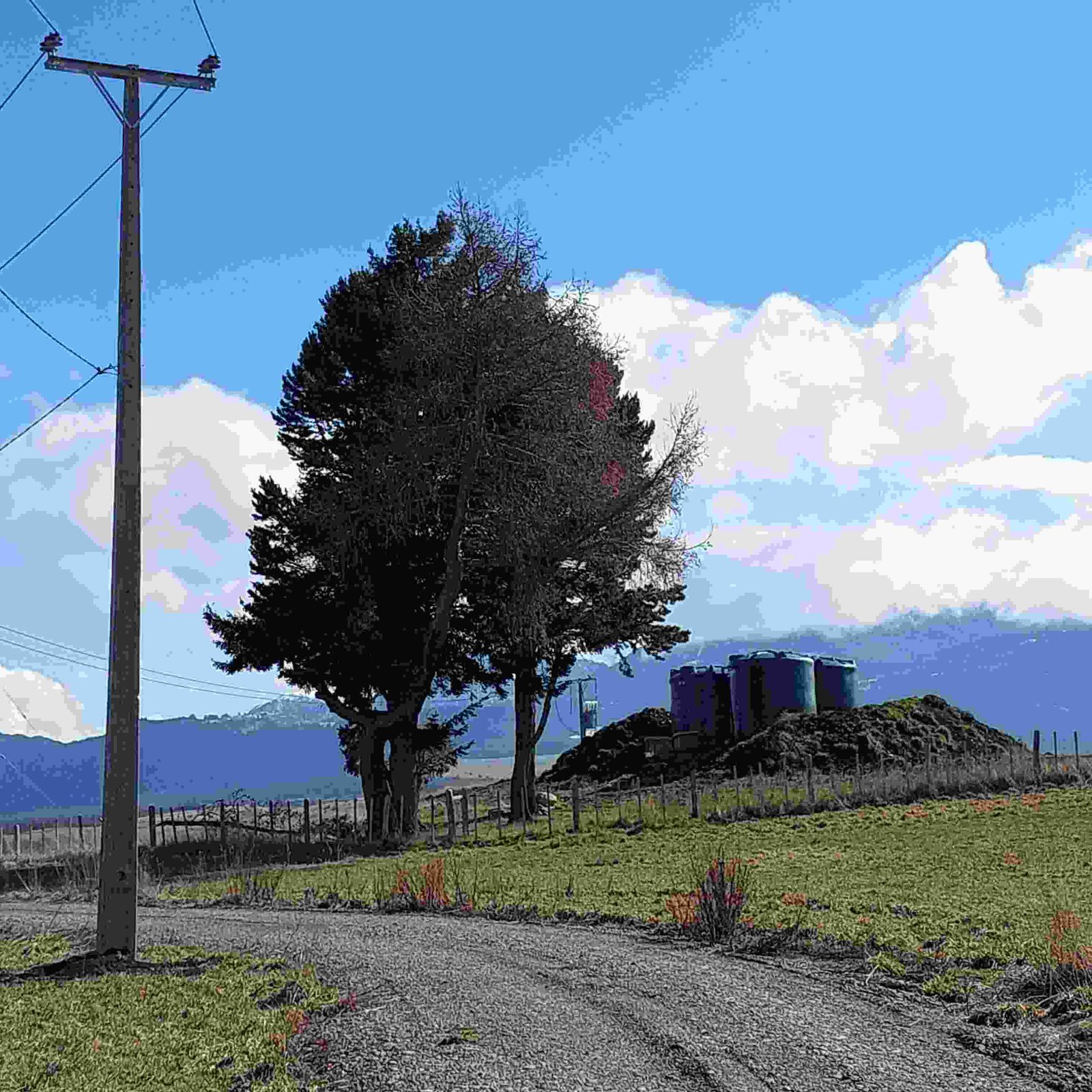 Dirt road leading to water tanks and a utility pole on the land parcel, set against a backdrop of trees and sky.
