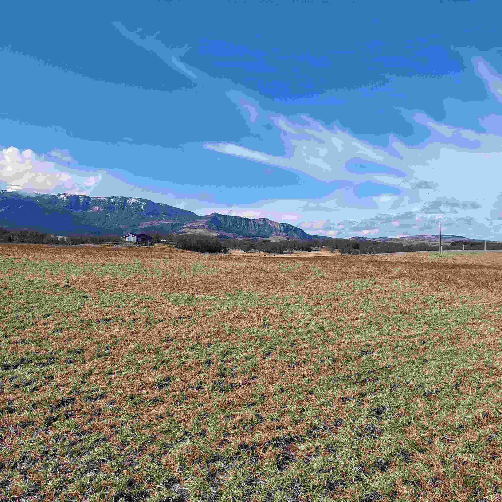 Land Parcel property photo in Balmaceda