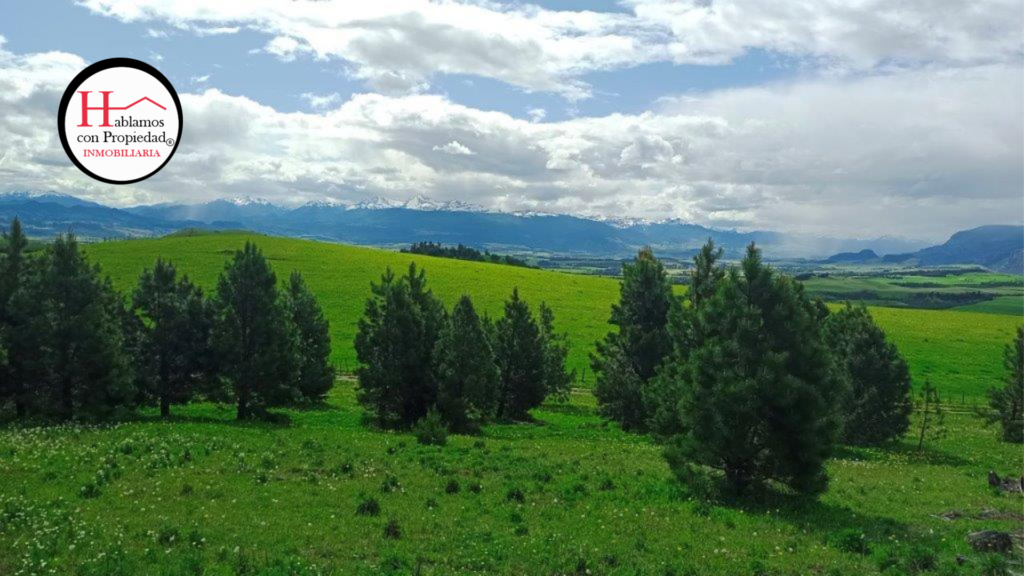 Parcelas en Coyhaique
