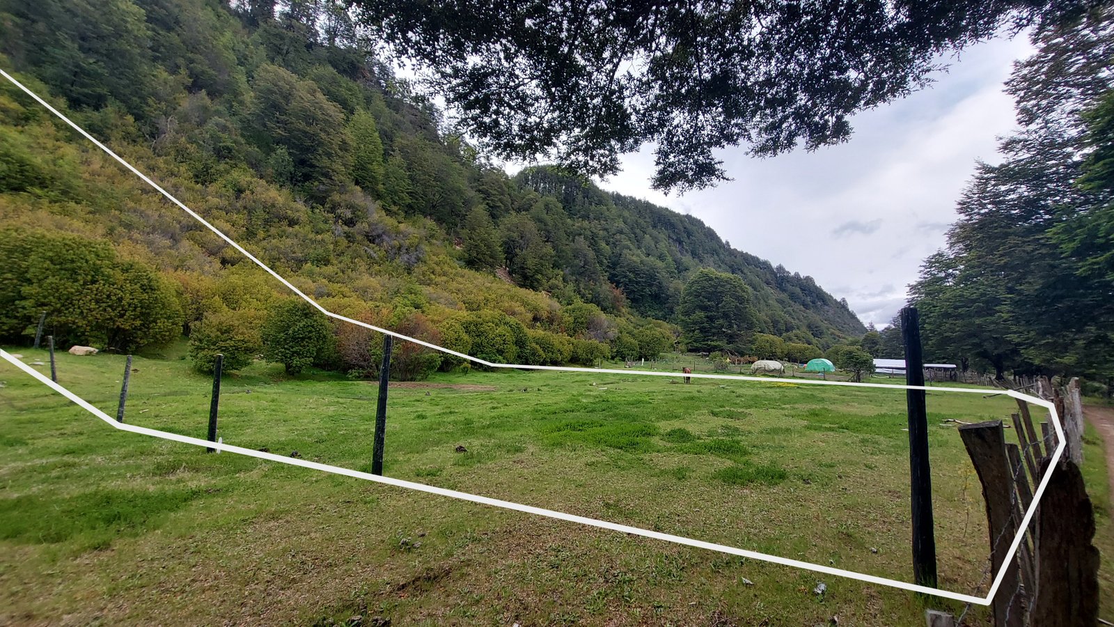 Ground-level view of the land parcel in Puerto Aysén, showing fencing, grassy area, and forested hillside.